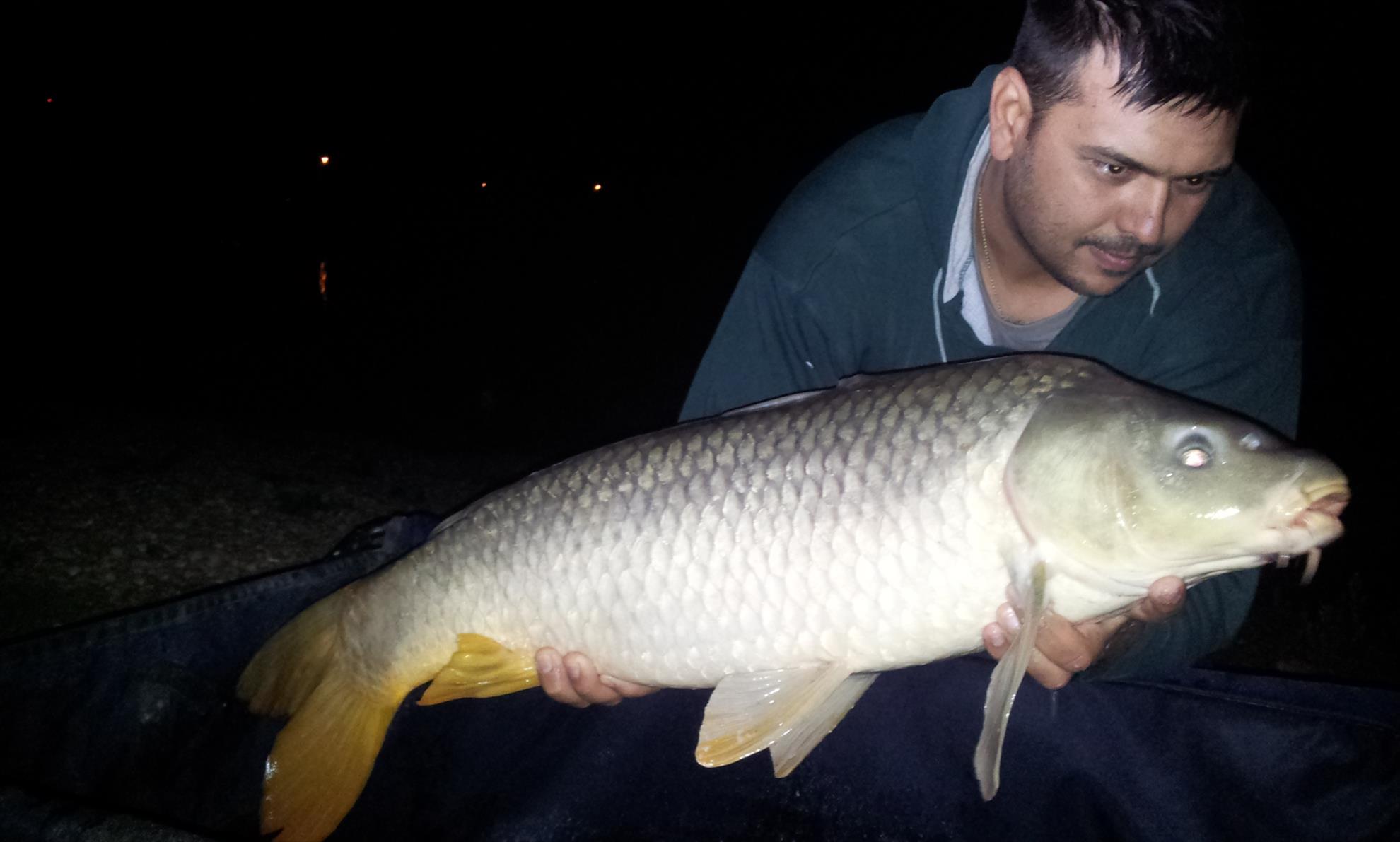 Hermes Peris 5 - 6 septembrie 2014 - 20140906023410.jpg